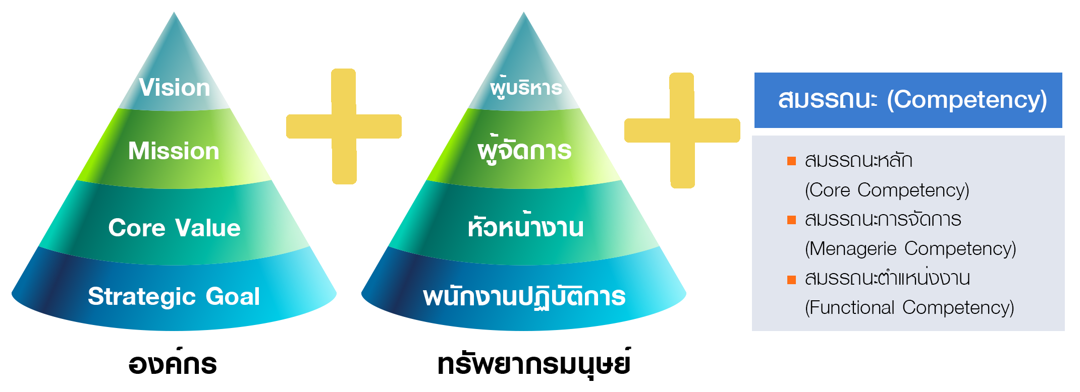 การสร้างหน่วยงาน L&D